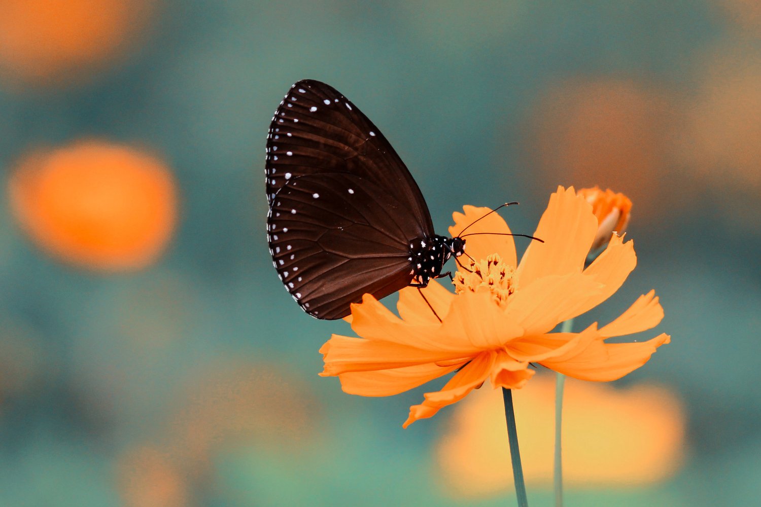 Featured image for article: How To Create New Possibilities For Your Life by Jeremiah Krakowski